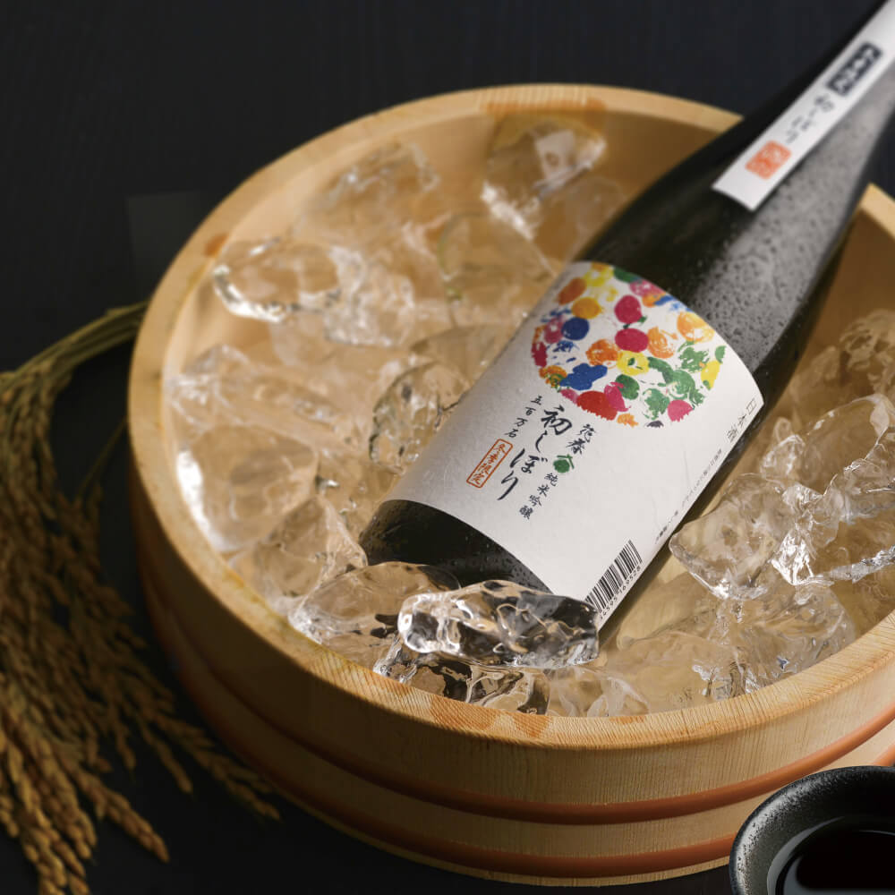 【数量限定】初しぼり 純米吟醸 五百万石 720ml